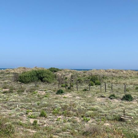 Mon Petit Paradis, Vue Sur Dunes Et Mer, Acces Direct Plage Robinson, Terrasse, Parking Prive, Tres Ressourcant, A Marseillan Plage Eksteriør billede
