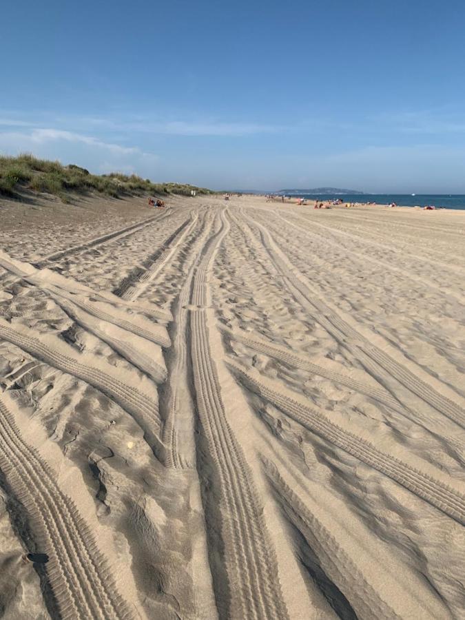 Mon Petit Paradis, Vue Sur Dunes Et Mer, Acces Direct Plage Robinson, Terrasse, Parking Prive, Tres Ressourcant, A Marseillan Plage Eksteriør billede