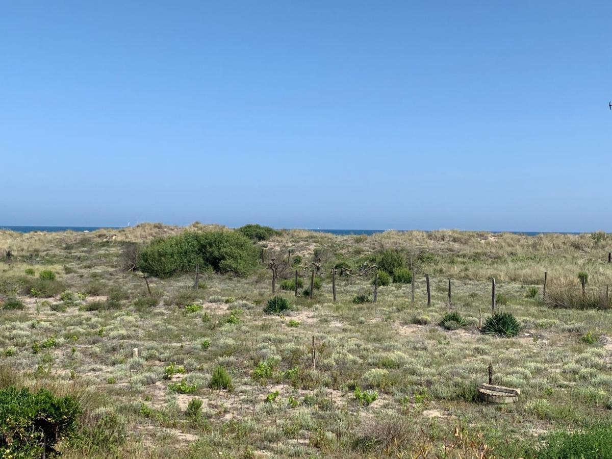 Mon Petit Paradis, Vue Sur Dunes Et Mer, Acces Direct Plage Robinson, Terrasse, Parking Prive, Tres Ressourcant, A Marseillan Plage Eksteriør billede